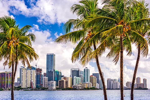 A stock photo. A cityscape view of downtown Miami, Florida. 