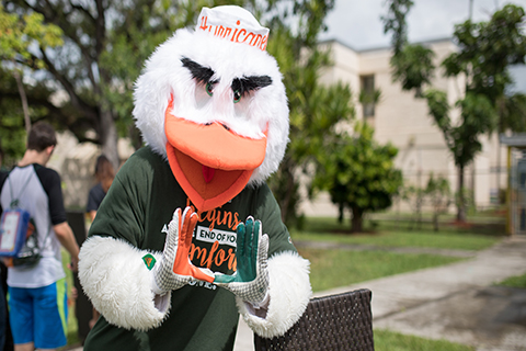 A picture of Sebastian The Ibis; Sebastian is the University of Miami mascot.